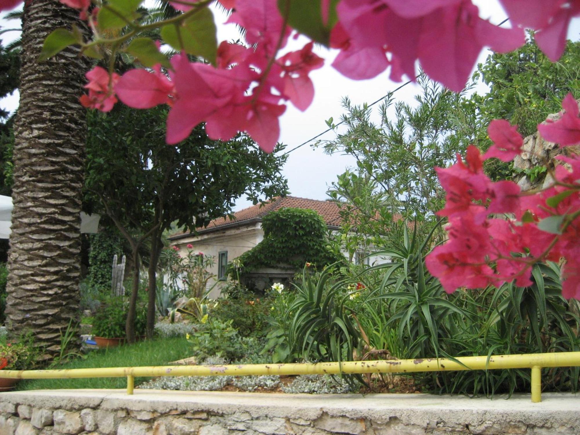 Apartments Veli Lošinj Exterior foto